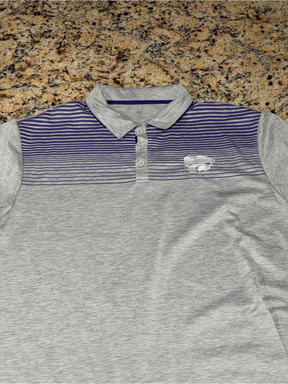 Colosseum Grey Polo with Purple Gradient Stripes